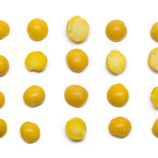 Group of beans