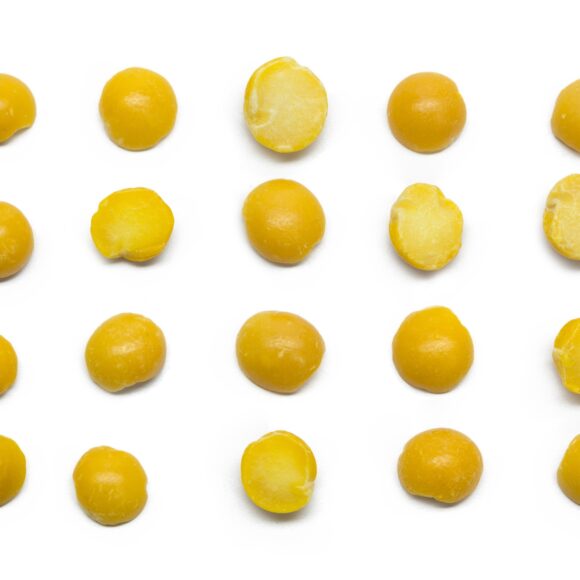 Group of beans